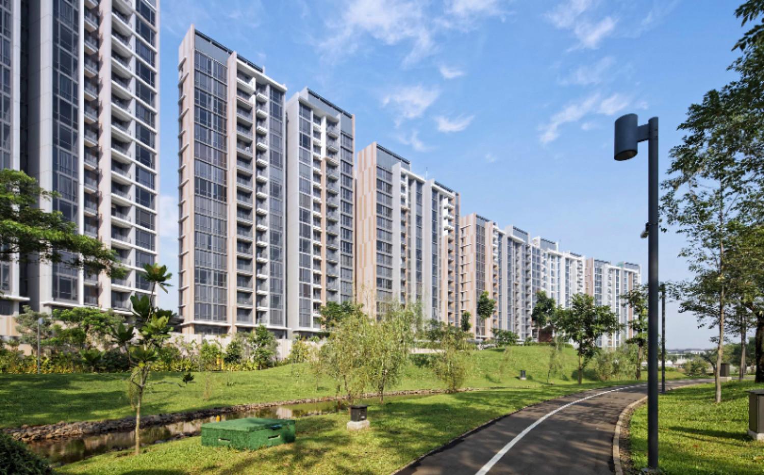 Sewa Apartemen Marigold Navapark - Condominium Marigold Navapark Apartment