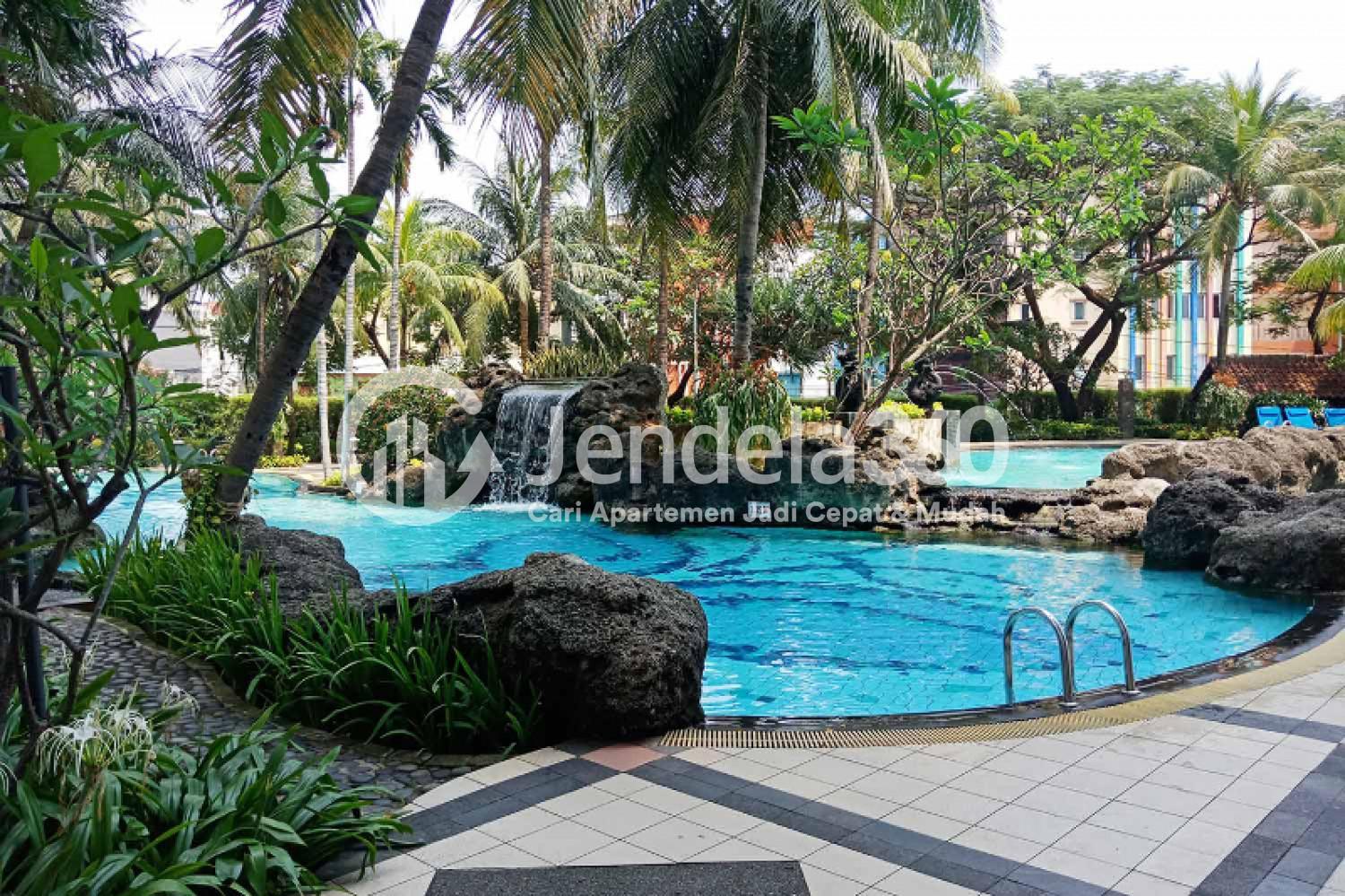 kolam renang - Grand Tropic Mercure Apartment