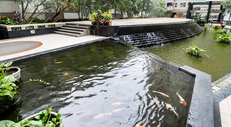 Kolam Ikan - Sudirman Park Apartment