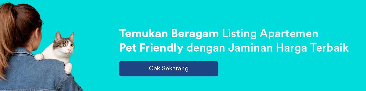 14 Cara Alami Untuk Menghilangkan Kutu Gatal Pada Kucing