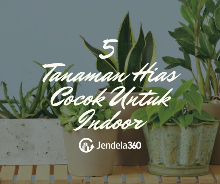 5 Tanaman Hias Cocok Untuk Indoor Dan Tips Merawatnya