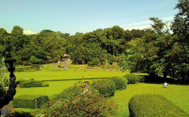 Kebun Raya, Spot Weekend Seru di Bogor