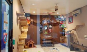 8 Pet Shop di Jakarta Selatan yang Jadi Favorit Pet Lover