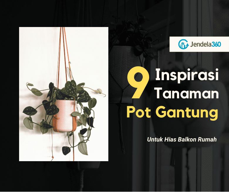 9 Inspirasi Tanaman Pot Gantung Untuk Balkon Rumah