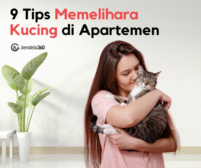 9 Tips Memelihara Kucing di Apartemen, Cat Lovers Wajib Tahu!