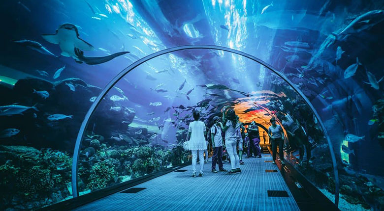 Jakarta Aquarium Jakarta Barat
