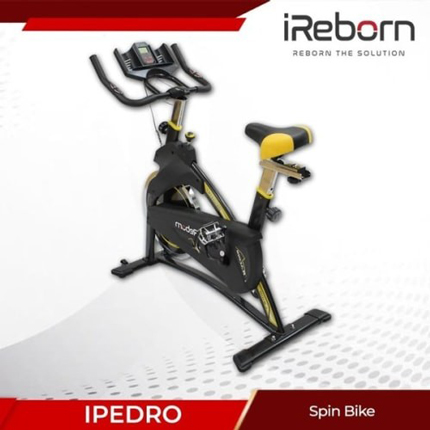 Sepeda Statis Terbaik iReborn Pedro Spin Bike