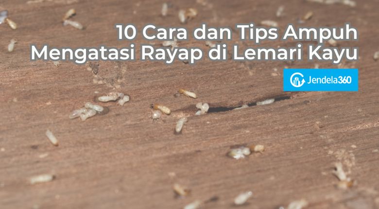 10 Cara dan Tips Ampuh Mengatasi Rayap di Lemari Kayu