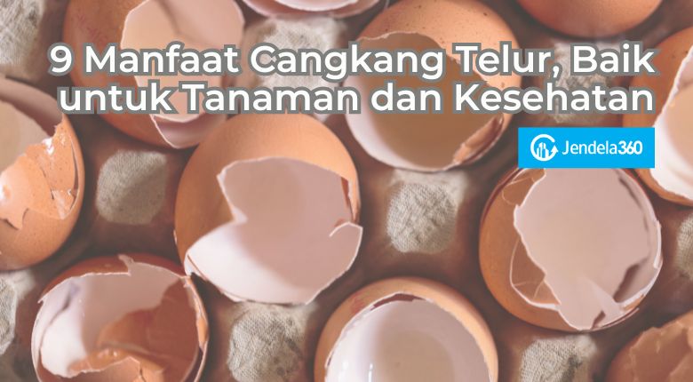 9 Manfaat Cangkang Telur, Baik untuk Tanaman dan Kesehatan