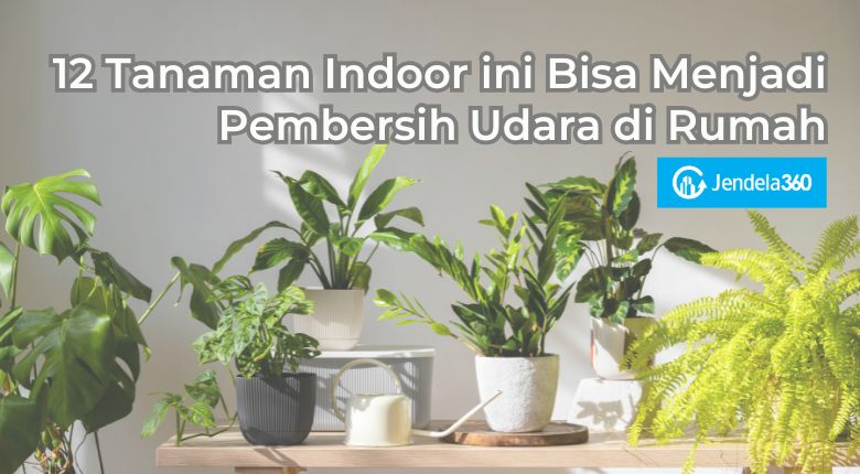 12 Tanaman Indoor ini Bisa Menjadi Pembersih Udara di Rumah