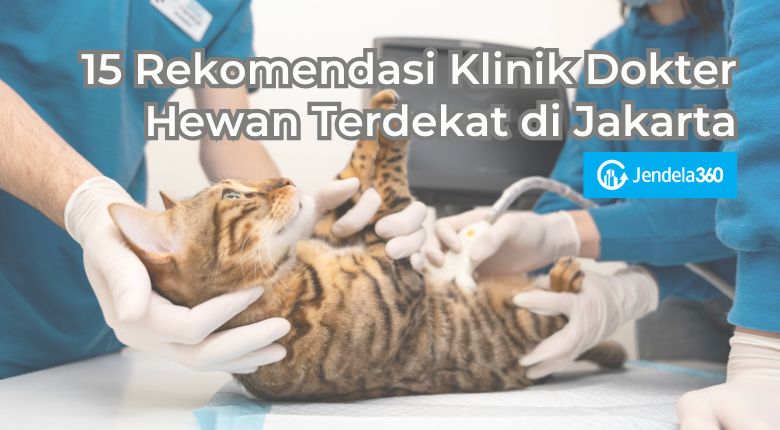 dokter hewan terdekat