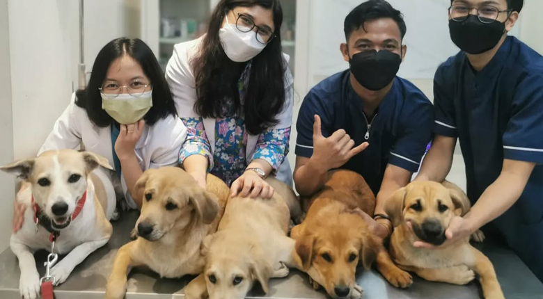 dokter hewan terdekat