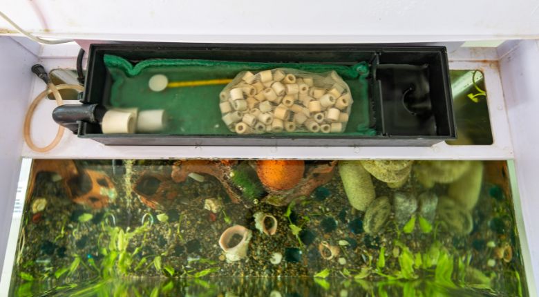 Gaya Aquascape