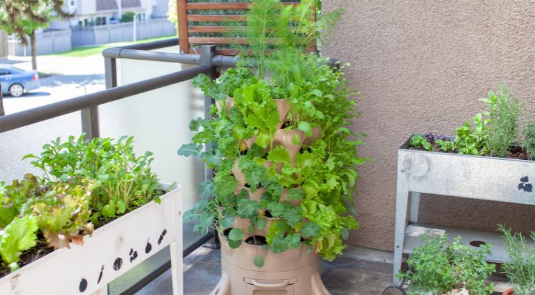 berkebun di lahan sempit