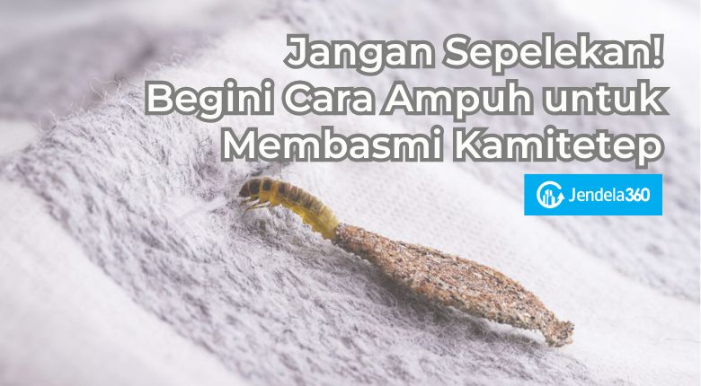 cara membasmi kamitetep