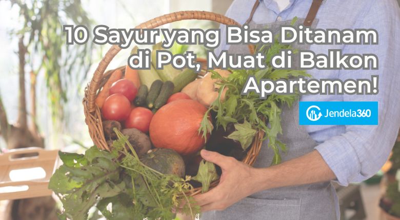 sayur yang bisa ditanam di pot