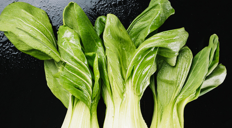 sayur yang bisa ditanam di pot