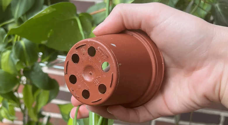 berkebun di balkon