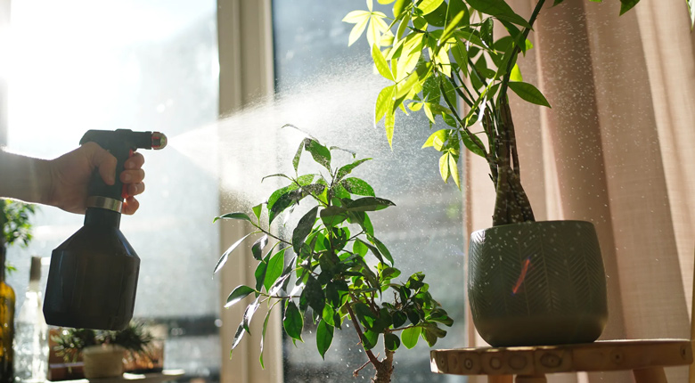 tips membuat taman balkon minimalis