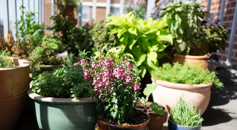 tips membuat taman balkon minimalis