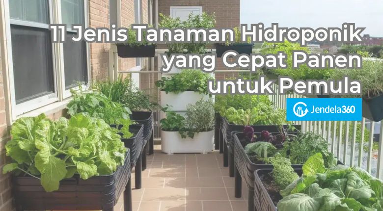 11 Jenis Tanaman Hidroponik yang Cepat Panen untuk Pemula
