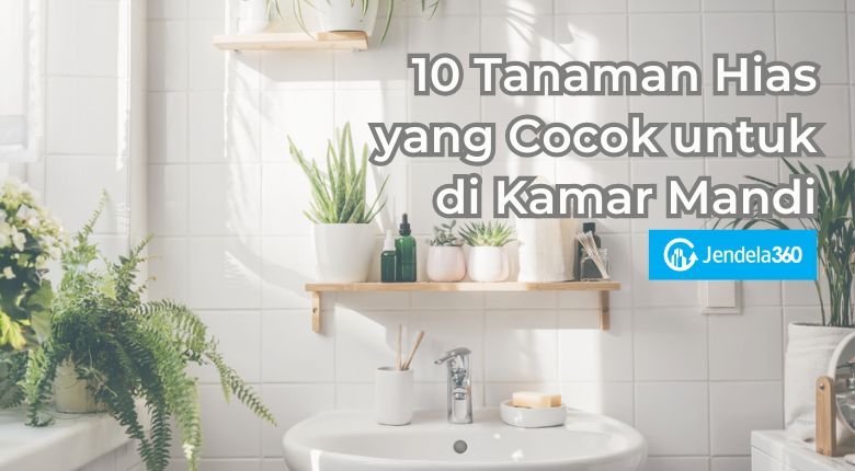 10 Tanaman Hias yang Cocok untuk di Kamar Mandi