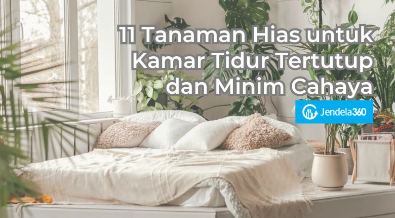 11 Tanaman Hias untuk Kamar Tidur Tertutup dan Minim Cahaya