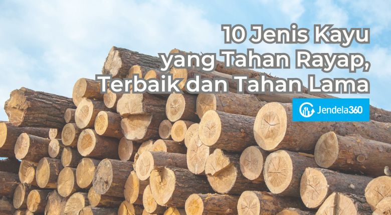 10 Jenis Kayu yang Tahan Rayap, Terbaik dan Tahan Lama