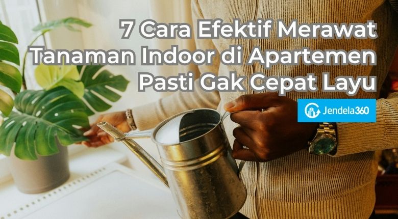 7 Cara Efektif Merawat Tanaman Indoor di Apartemen Pasti Gak Cepat Layu