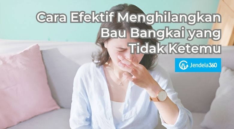 Cara Efektif Menghilangkan Bau Bangkai yang Tidak Ketemu